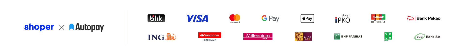 płatności autopay poziom z kartami